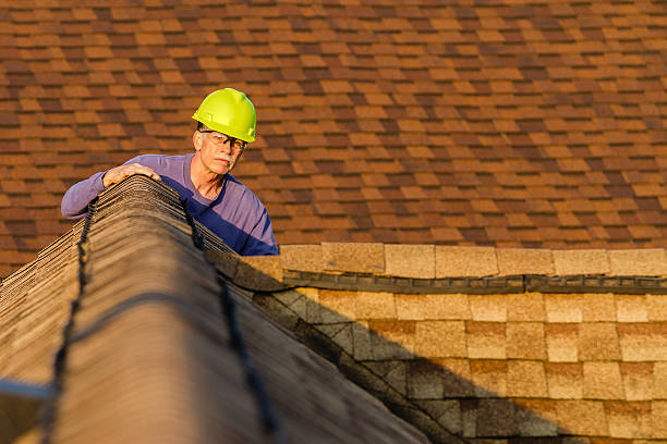 Best Roof Maintenance Services  in Golden Valley, MN